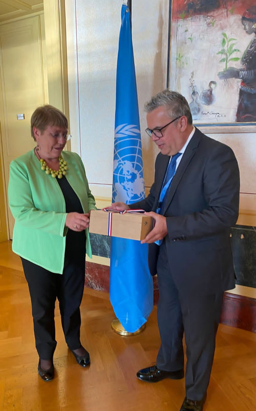 Representante permanente ante NNUU en Ginebra se reunió con Alta Comisionada para los Derechos Humanos