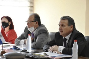 Vicecancilleres de Paraguay y Argentina mantuvieron una reunión vía videoconferencia preparatoria del encuentro de Cancilleres