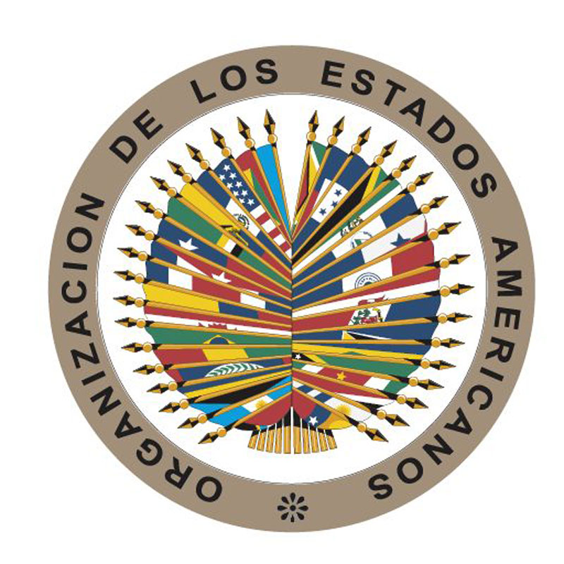 Paraguay integrará grupo de alto nivel de la OEA que analizará situación en Perú