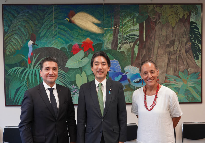 Embajador del Paraguay  y presidente de Comisión de Relaciones Exteriores de Japón estrechan relaciones