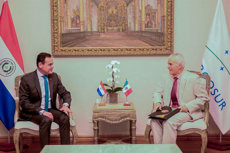 Canciller recibe en audiencia al embajador de México