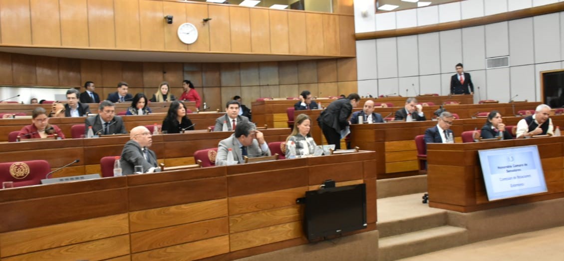 Ante comisión del Senado sostienen que en caso Arrom, Martí y Colmán primaron criterios políticos que jurídicos