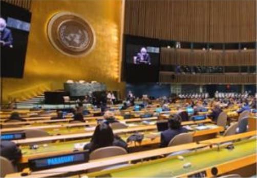 Paraguay participó de audiencia parlamentaria anual de la Organización de las Naciones Unidas