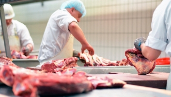 Gestiones de la diplomacia económica logra que Sudáfrica habilite frigoríficos para la exportación de carne paraguaya