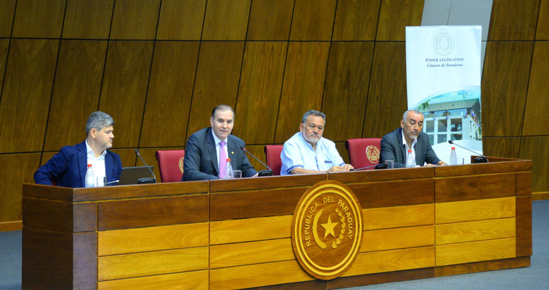 Canciller presenta lineamientos estratégicos para elaboración del proyecto de Plan Maestro para la Navegabilidad del río Paraguay