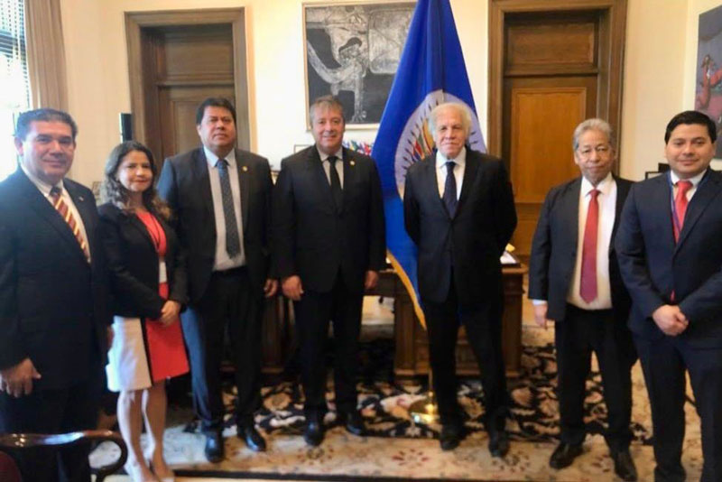 Parlamentarios paraguayos se reunieron con el Secretario General de la OEA 