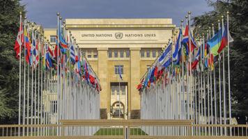 Cancillería decide fortalecer presencia ante la OMC y otros organismos económicos internacionales