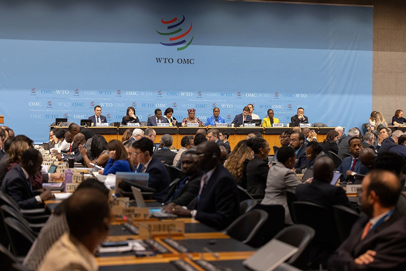 Paraguay participa en reunión de OMC con miras a alcanzar mayor acceso a los mercados