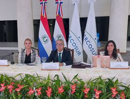 Mercosur acuerda promover la recuperación post pandemia y el bienestar de los ciudadanos de los Estados Parte y Asociados