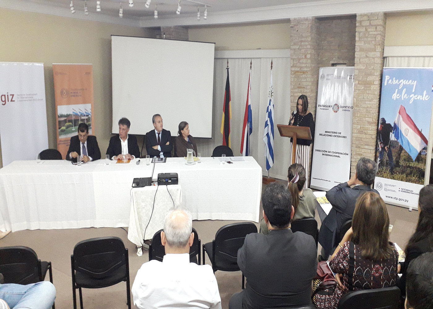 Presentan proyecto de cooperación “Energía Asequible y Sustentable para el Paraguay”