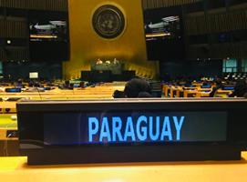 Experta paraguaya fue reelecta en el Comité de Derechos Humanos de las Naciones Unidas