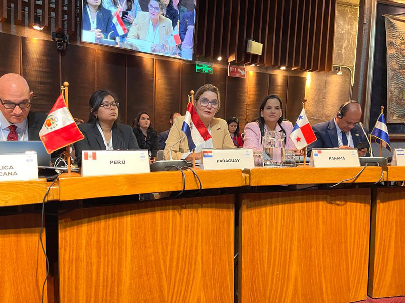 Paraguay participa de mesa de diálogo sobre ODS 7 “Energía Asequible y No Contaminante”
