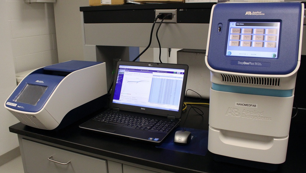 RT-PCR.jpeg