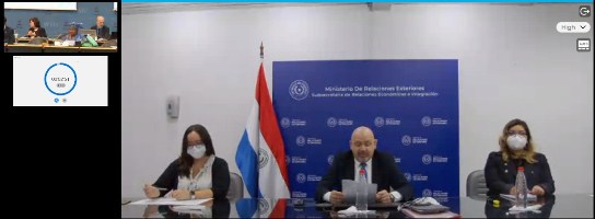 OMC: Paraguay defiende intereses de países en desarrollo sin litoral en negociaciones sobre subvenciones a la pesca