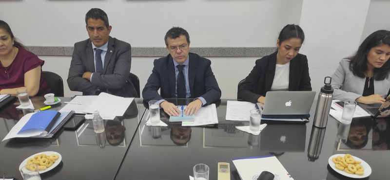 Instituciones nacionales coordinan agenda para el Mercosur