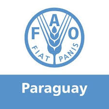 Paraguay y la FAO ejecutarán dos importantes proyectos en el área pecuaria
