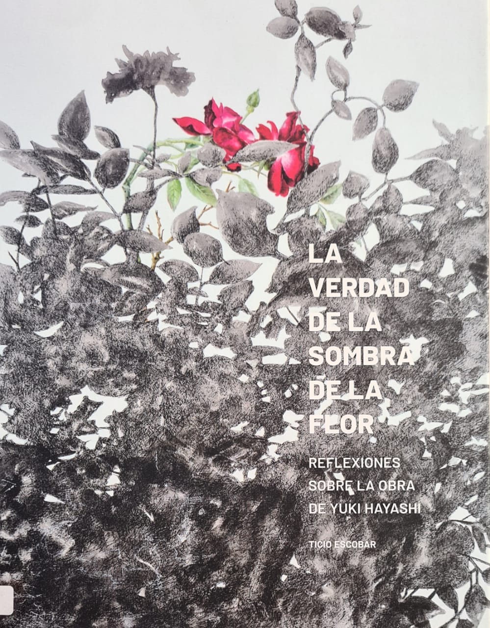 La verdad de la sombra de la flor