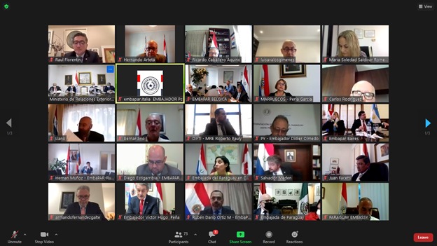 Reunion_Virtual_informativa.jpeg