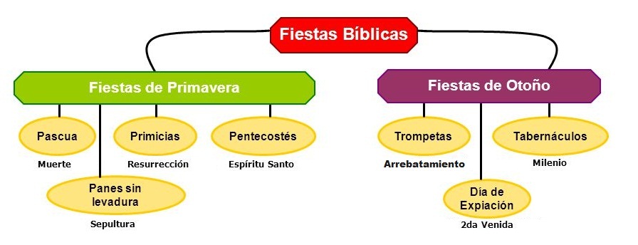 Titulo Prueba 1