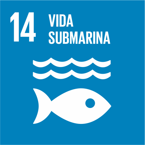 VIDA SUBMARINA