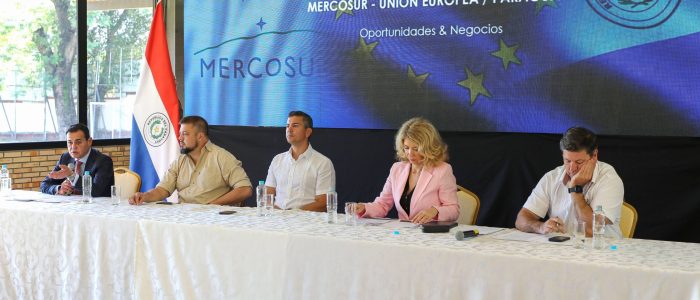 Presidente Peña dialogó con el sector privado sobre oportunidades del acuerdo Mercosur–UE