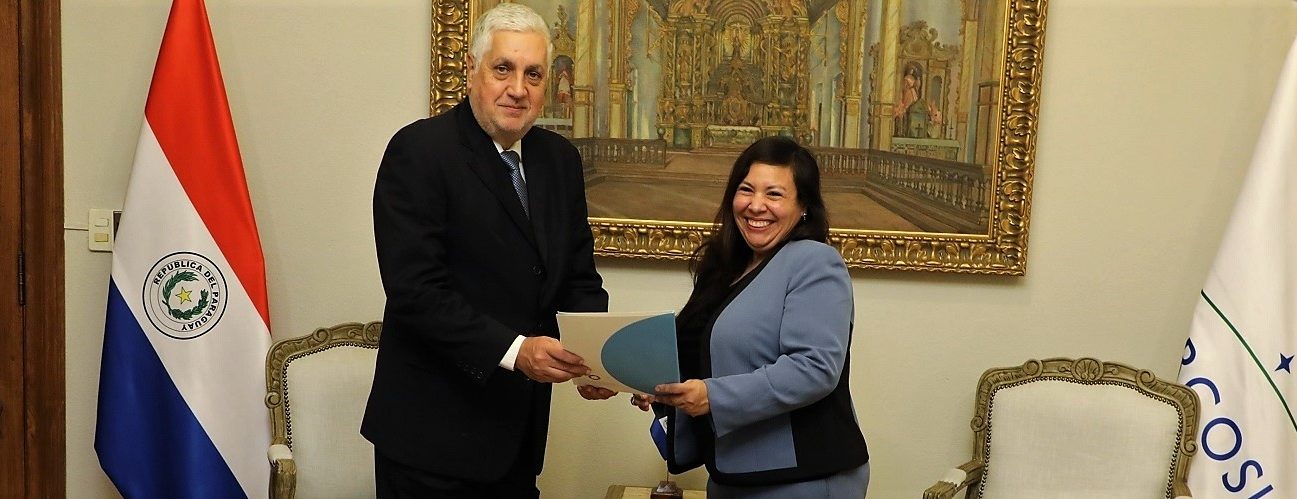 Cartas credenciales coodinadora ONU