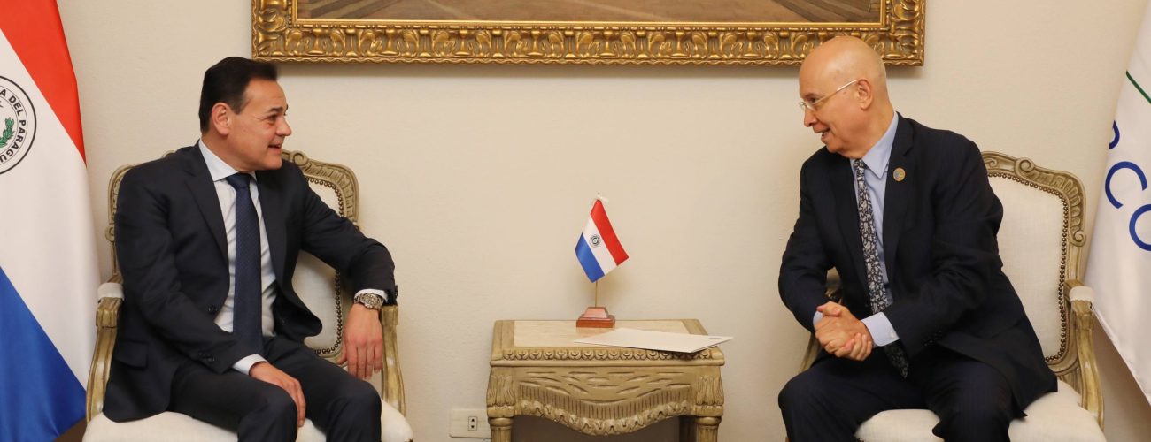 Canciller recibe en audiencia a representante residente del PNUD